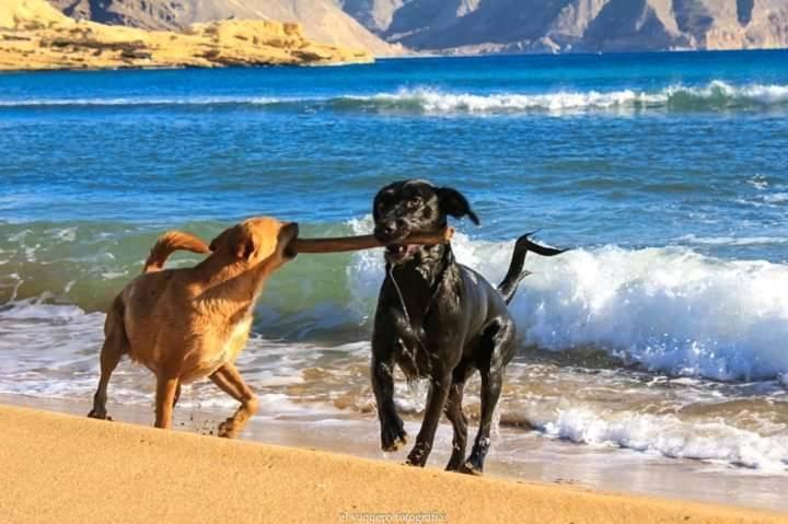 Hotel Palomares Beach Dış mekan fotoğraf